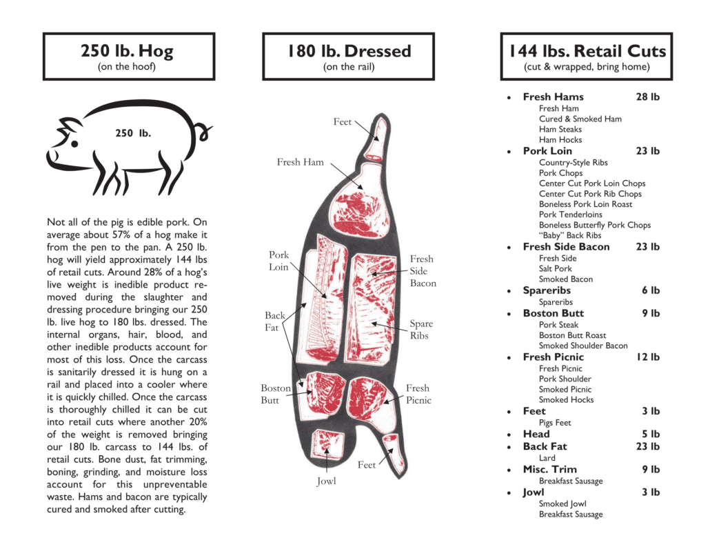 Diagram showing approximate pork yield from a 250-pound hog
